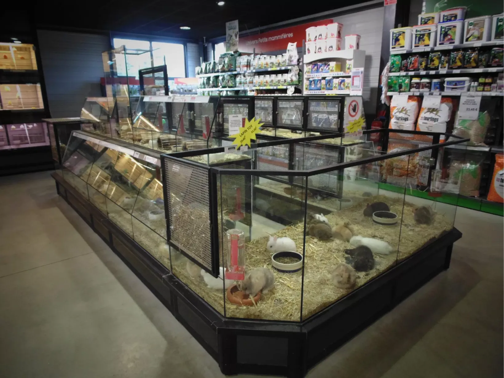 Animotopia Animalerie Morlaix Les Animaux 4