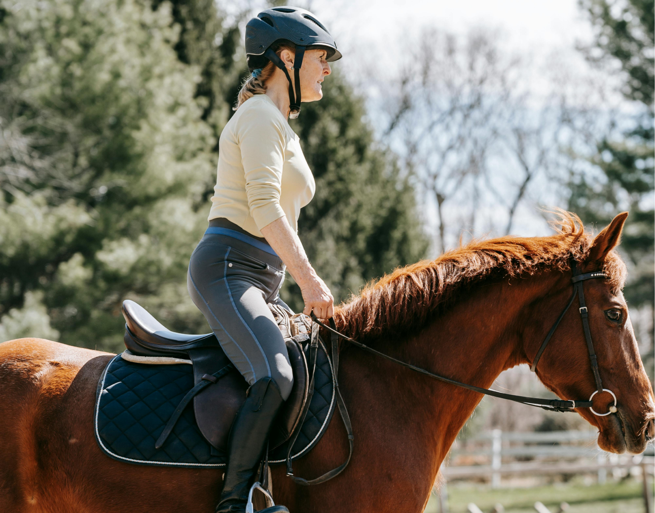 Animotopia Animalerie Morlaix Equipement Complet Pour Le Cheval Et Le Cavalier 1
