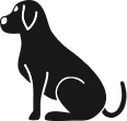 Animotopia Animalerie Morlaix Forme 2