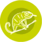 Animotopia Animalerie Morlaix Reptile